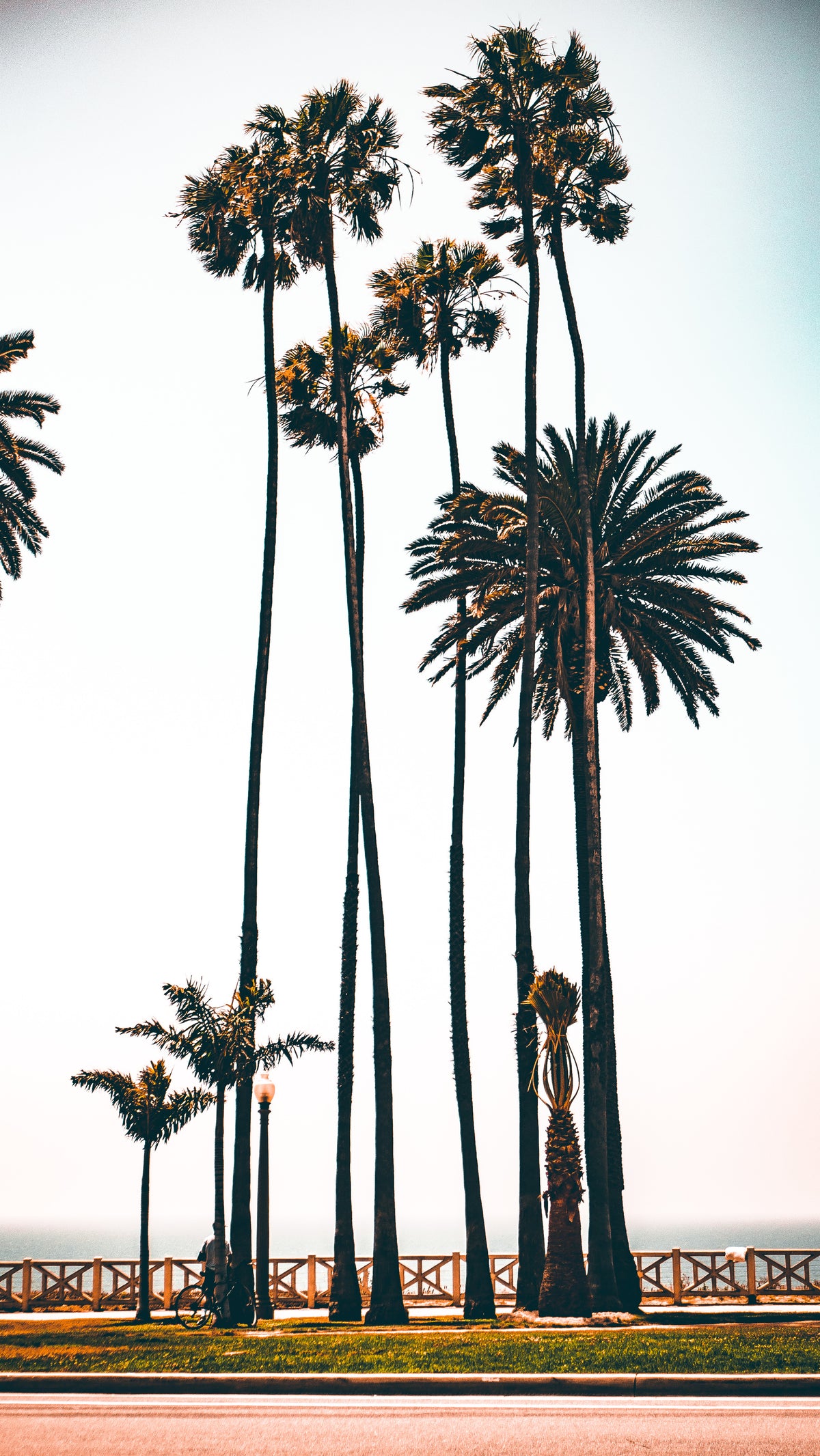Los Angeles